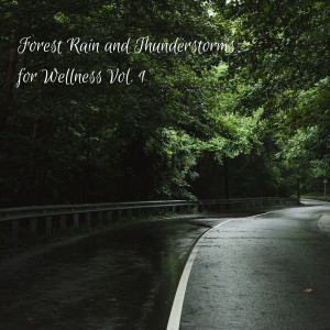 Forest Rain and Thunderstorms for Wellness Vol. 1