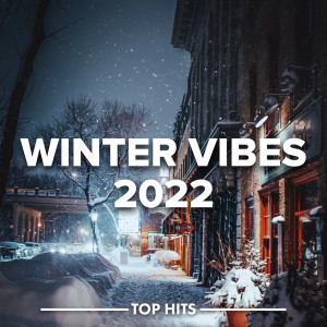 อัลบัม Winter Vibes 2022 (Explicit) ศิลปิน Various