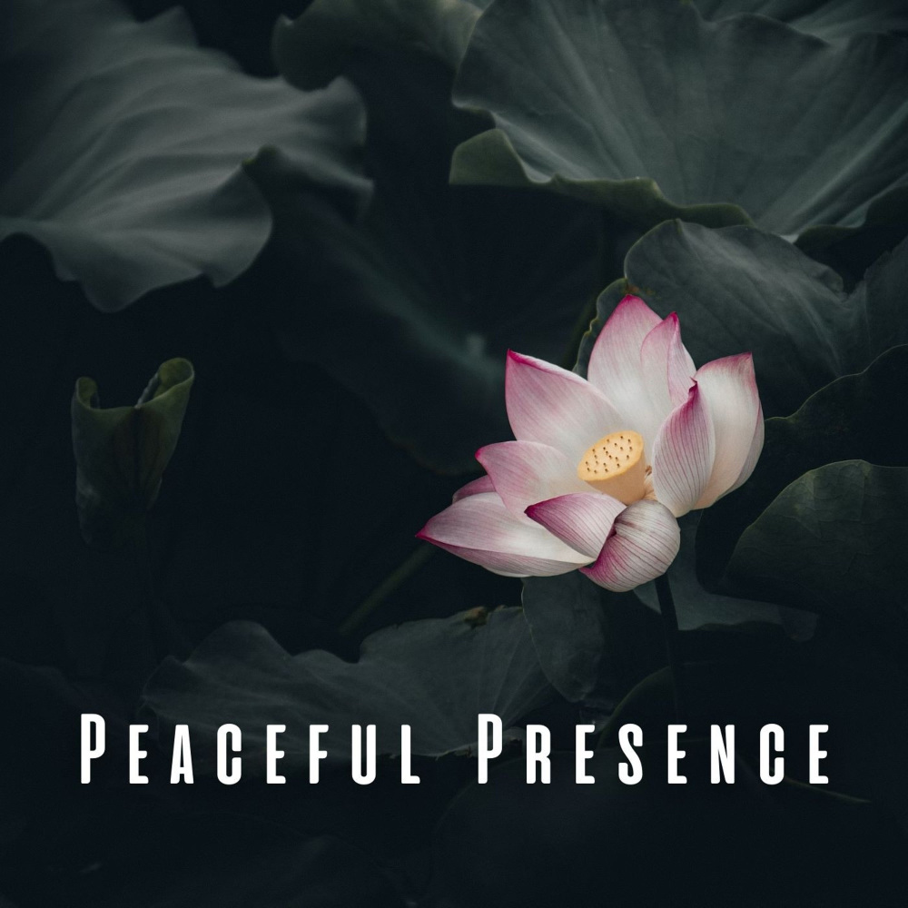 Peaceful Meditation Ambience