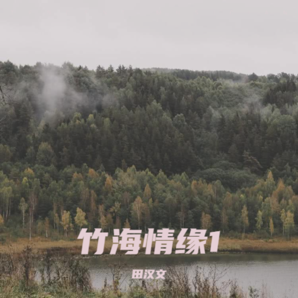 竹海情缘伴奏 (伴奏)