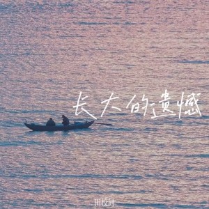 长大的遗憾中文版 dari 田校同