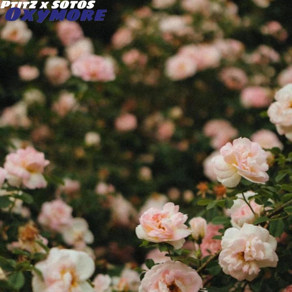 Oxymore (feat. Sotos) (Explicit)