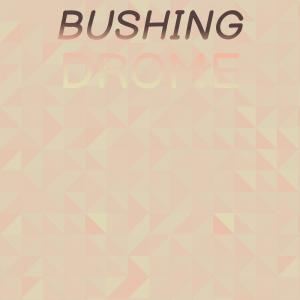 Album Bushing Drome from Various