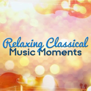 ดาวน์โหลดและฟังเพลง Piano Sonata No. 16 in C Major, K. 545: II. Andante พร้อมเนื้อเพลงจาก Martin Jacoby