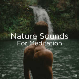 Listen to Meditation Nature song with lyrics from Sleep Sounds of Nature