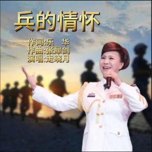 Album 兵的情怀 from 张犀剑