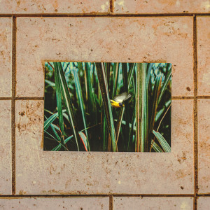 收聽Rafa Thor的Ali-É-Nois歌詞歌曲