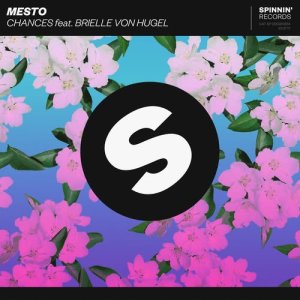 ดาวน์โหลดและฟังเพลง Chances (feat. Brielle Von Hugel) พร้อมเนื้อเพลงจาก Mesto