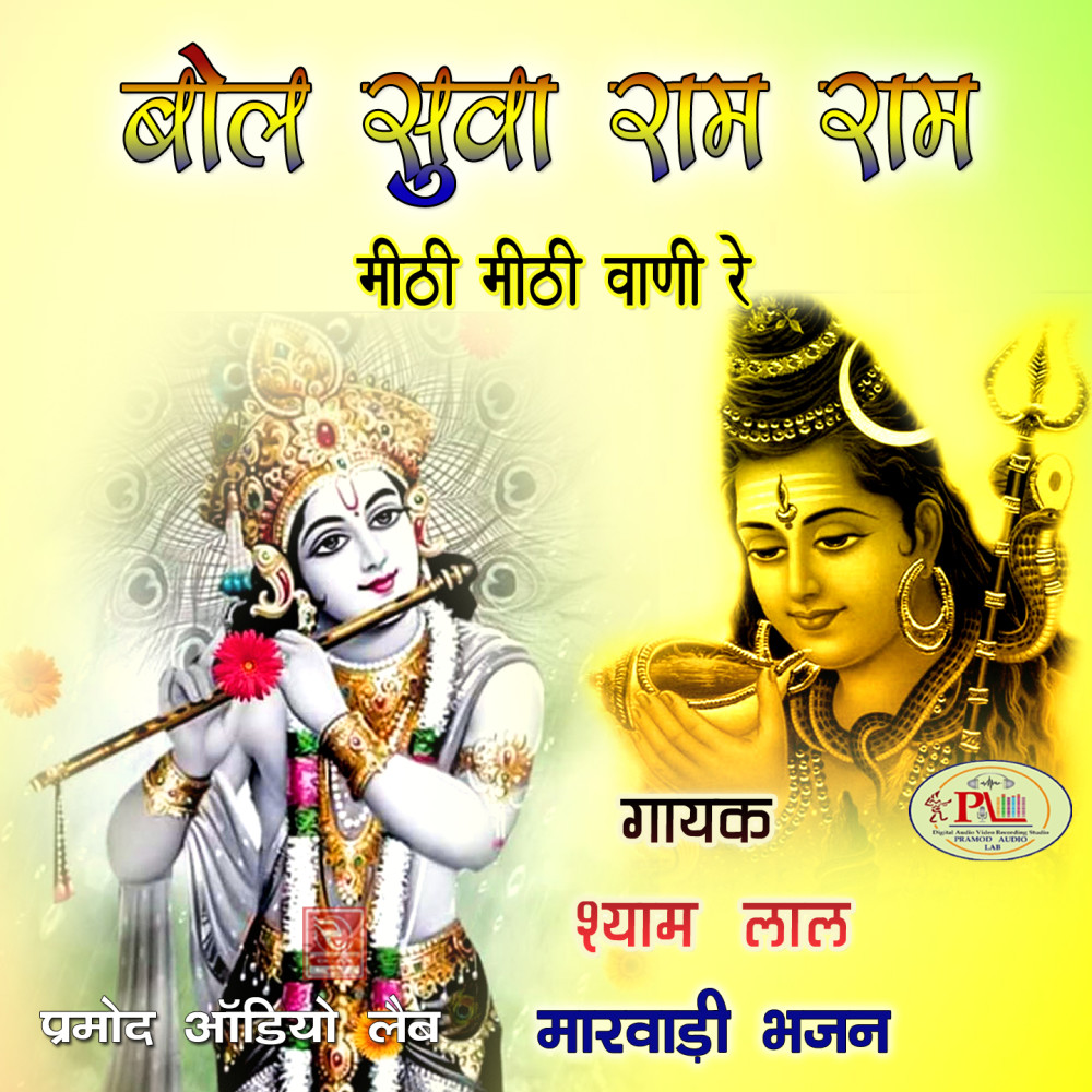 Mara Aalam Raja Re Kast Haro Deva Marwadi Bhajan