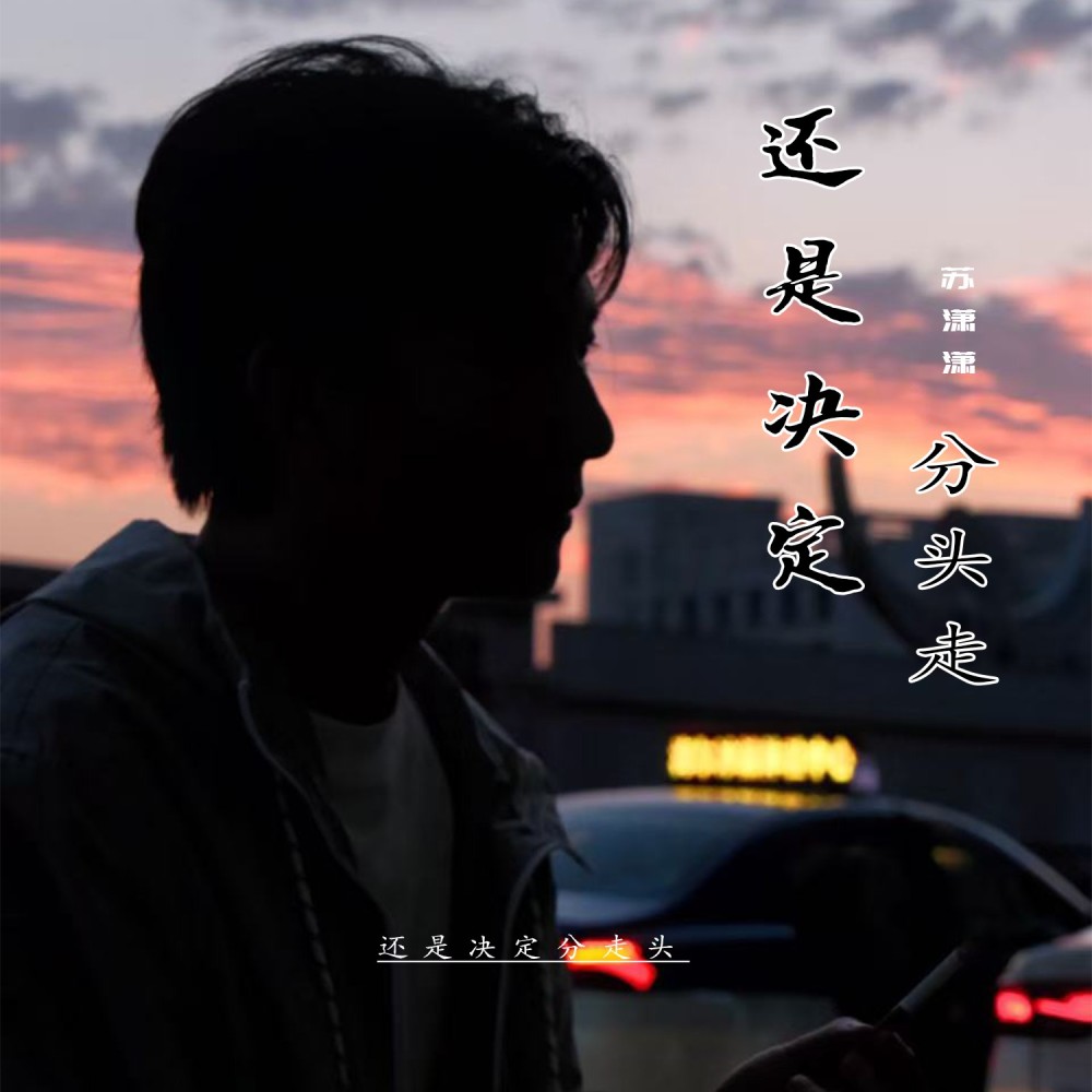 还是决定分头走 (伴奏)