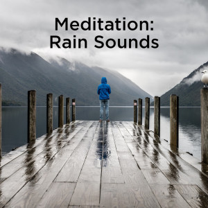 收听Rain Sounds的Calming Rain Asmr歌词歌曲