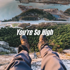 ดาวน์โหลดและฟังเพลง You're so High พร้อมเนื้อเพลงจาก Albert Collins