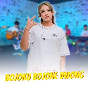 Dengarkan Bojoku Bojone Uwong lagu dari Niken Salindry dengan lirik