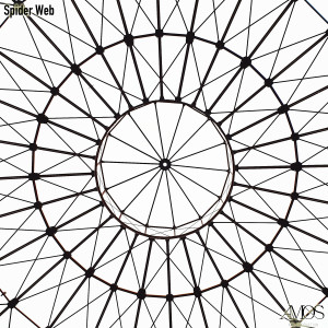 อัลบัม Spider Web ศิลปิน AMOS (아모스)