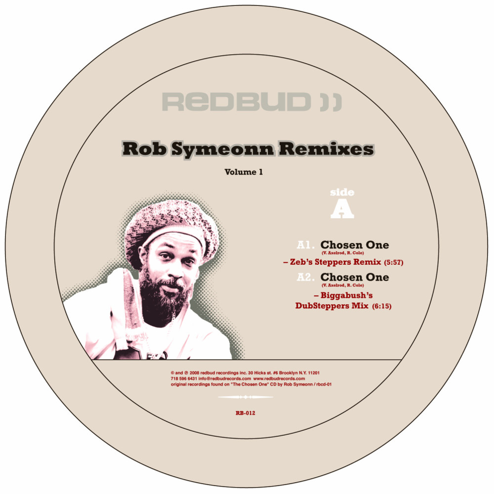 Message In The Music (Shanti Roots DubHouse Edit)