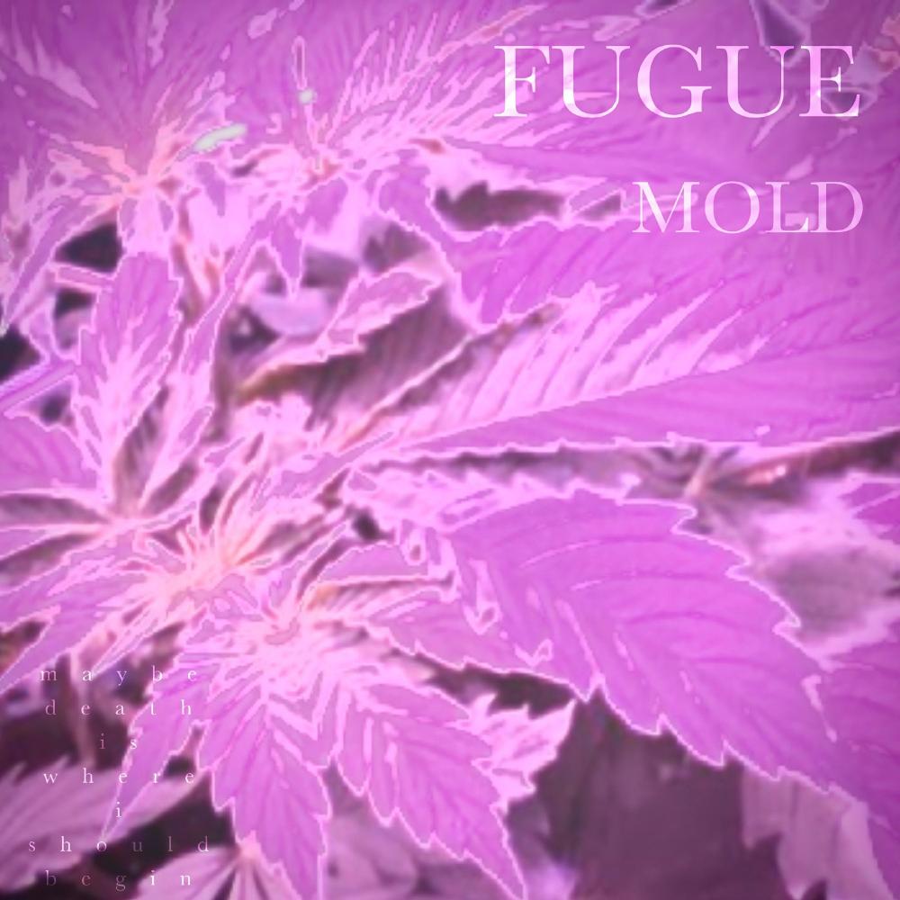 MOLD (Explicit)