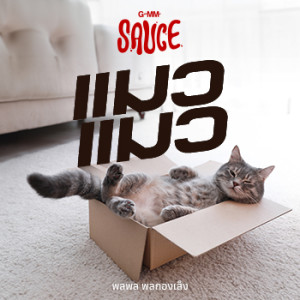ดาวน์โหลดและฟังเพลง แมวแมว พร้อมเนื้อเพลงจาก GMM SAUCE