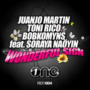 Juanjo Martin的專輯Wonderful Sign