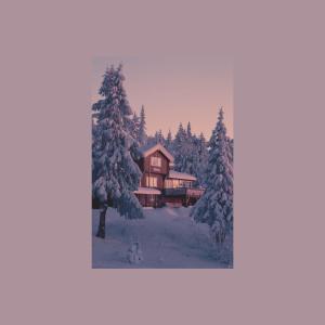 收聽mangoes的yuletide sun歌詞歌曲