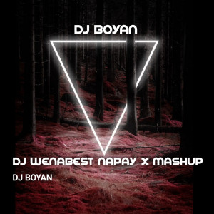 Album DJ Wenabest Napay X Mashup from 