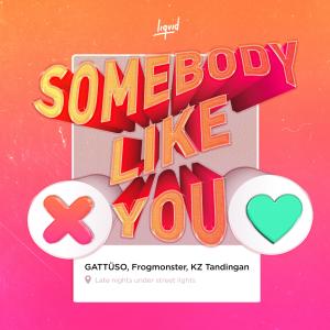 อัลบัม 你的模样 (Somebody Like You) ศิลปิน FrogMonster