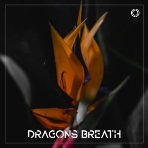 收聽Kords的Dragons Breath歌詞歌曲