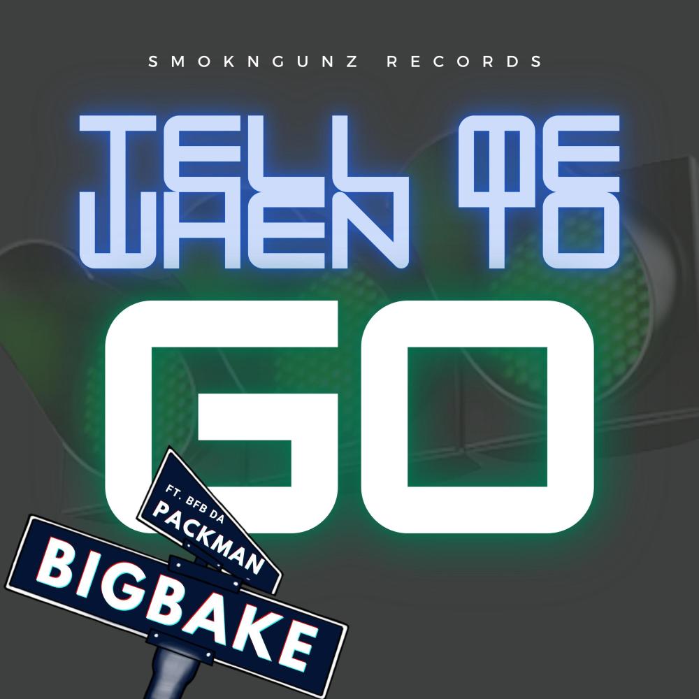 Tell Me When To Go (feat. Bfb Da Packman) (Explicit)