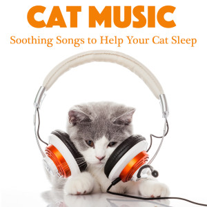 收听RelaxMyCat的Midnight Song歌词歌曲