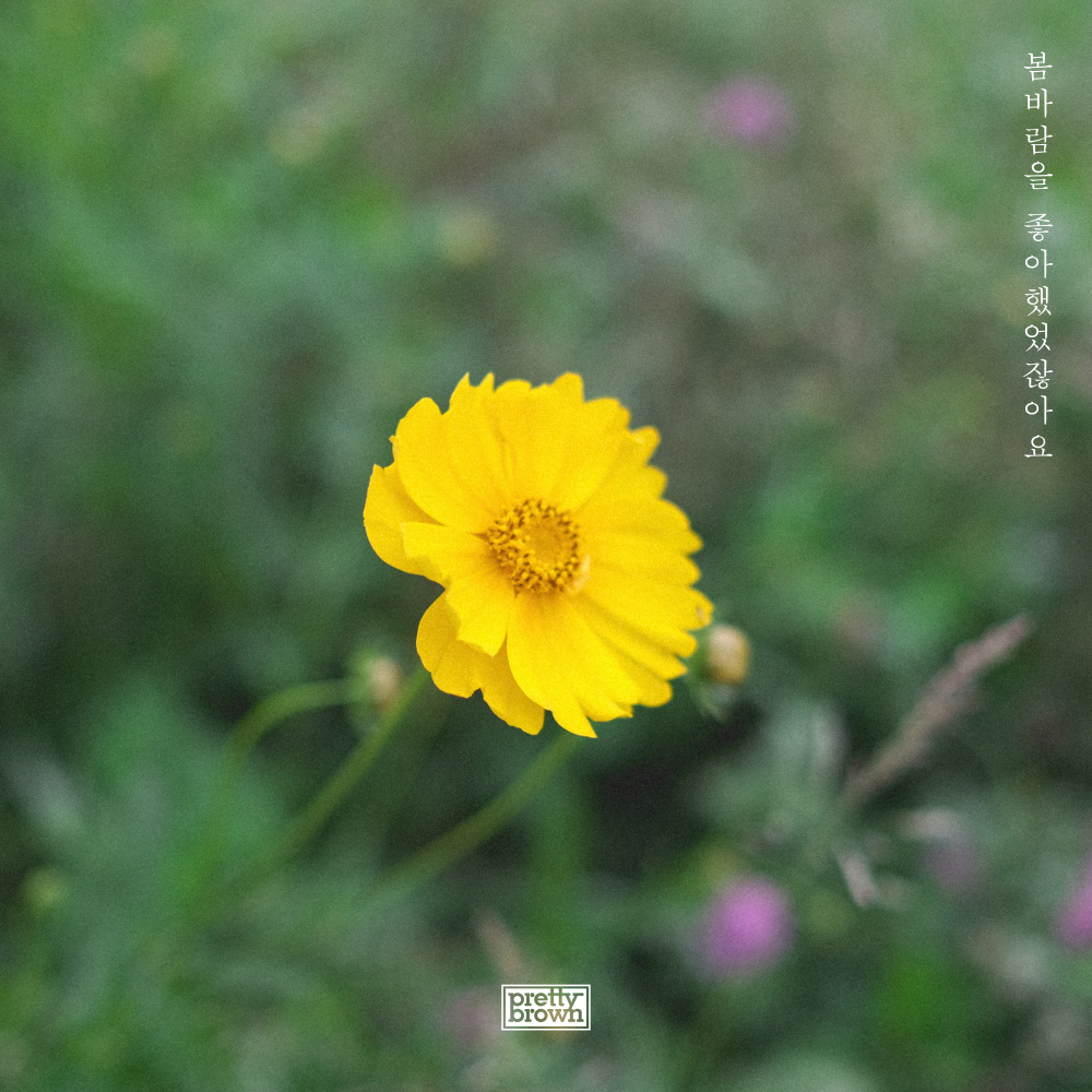 Once in a spring breeze (Instrumental)