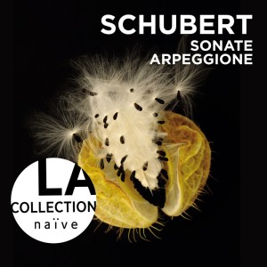 Album Schubert: Sonate Arpeggione from Claire Desert