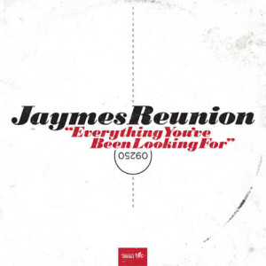 Jaymes Reunion的專輯Everything You've Been Looking For