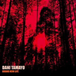 Listen to Brand New Life (Insight Remix) song with lyrics from Dani Tamayo