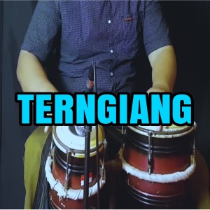 ดาวน์โหลดและฟังเพลง Terngiang พร้อมเนื้อเพลงจาก Heru Onthemix
