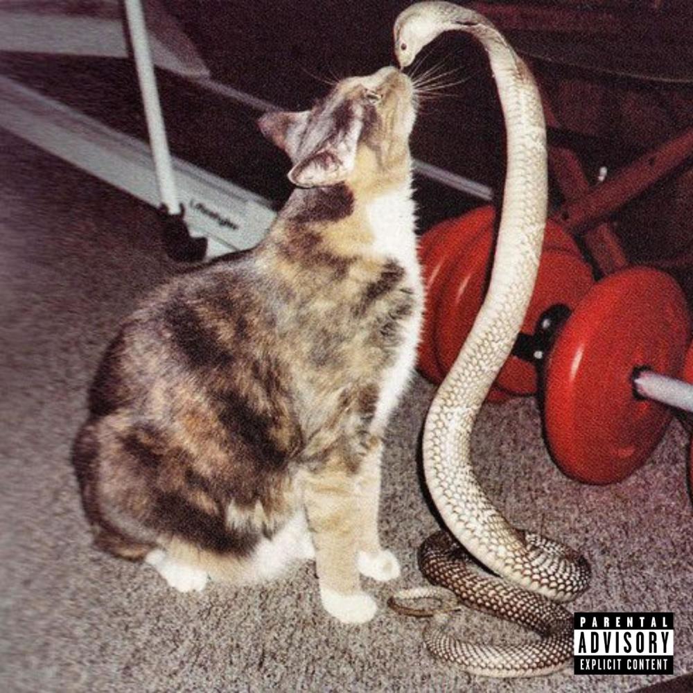 kobra (Explicit)