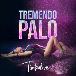 ดาวน์โหลดและฟังเพลง Tremendo Palo พร้อมเนื้อเพลงจาก Timbalive