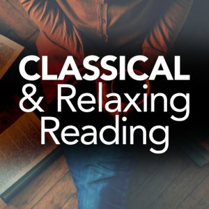 收聽Northern String Quartet的Concerto for Two Violins, Strings and Continuo in D Minor, BWV 1043: II. Largo ma non tanto歌詞歌曲