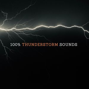 Nature Sounds Nature Music的專輯100% Thunderstorm Sounds