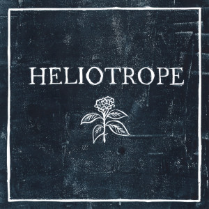อัลบัม Heliotrope ศิลปิน Banfi