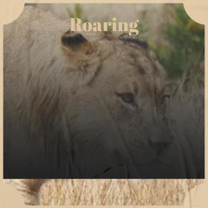 Listen to Roaring song with lyrics from Sani Vion