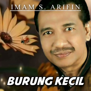 Imam S Arifin的專輯Burung Kecil