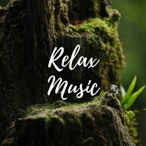 Peaceful Relaxation的專輯Heals the Mind, body and Soul