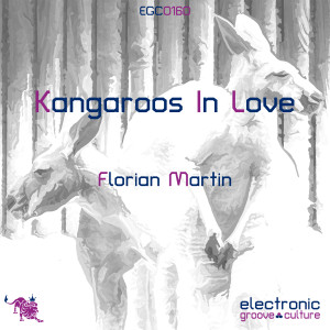 Listen to Kangaroos In Love song with lyrics from Florian Martin