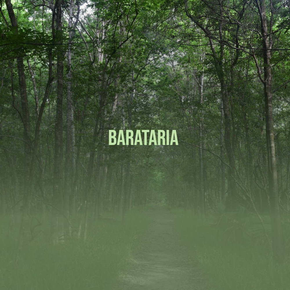 The Corinthian Departs／Barataria (Original Soundtrack from 'The Buccaneer')