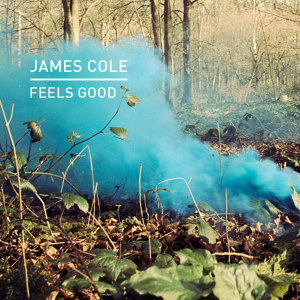 收听James Cole的Say That You Love Me歌词歌曲