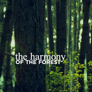 อัลบัม The Harmony of the Forest ศิลปิน Outside Broadcast Recordings