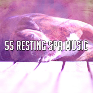 ดาวน์โหลดและฟังเพลง Wrapped in Comfort. พร้อมเนื้อเพลงจาก White Noise For Baby Sleep
