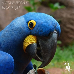 Antoine Seranuit的專輯Mix It Up