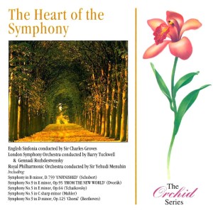 Dengarkan lagu Symphony No.5 in C-Sharp Minor: IV. Adagietto, sehr langsam nyanyian Wyn Morris dengan lirik