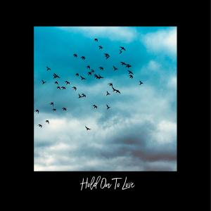 Stone Foundation的專輯Hold on to Love