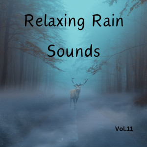 Relaxing Rain Sounds (Vol.11)